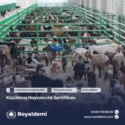 Küçükbaş Hayvancılık Sertifikası