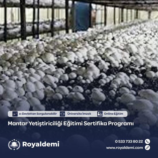 Mantar Yetiştiriciliği Eğitimi Sertifika Programı Mantar Yetiştiriciliği Eğitimi Sertifika Programı