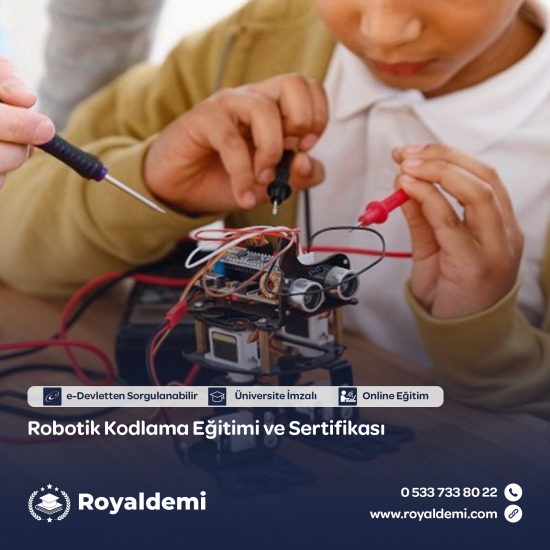 Robotik Kodlama Eğitimi ve Sertifikası Robotik Kodlama Eğitimi ve Sertifikası